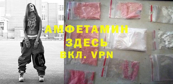 прущие грибы Рославль